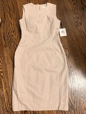 Calvin Klein Sleeveless Sheath Dress in Light Blush tan 2